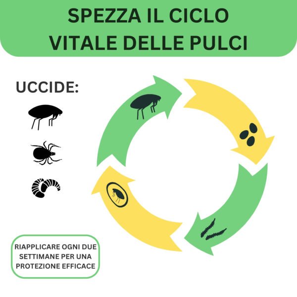 Super Bau Bau Pipette Antiparassitario per Cani - immagine 7